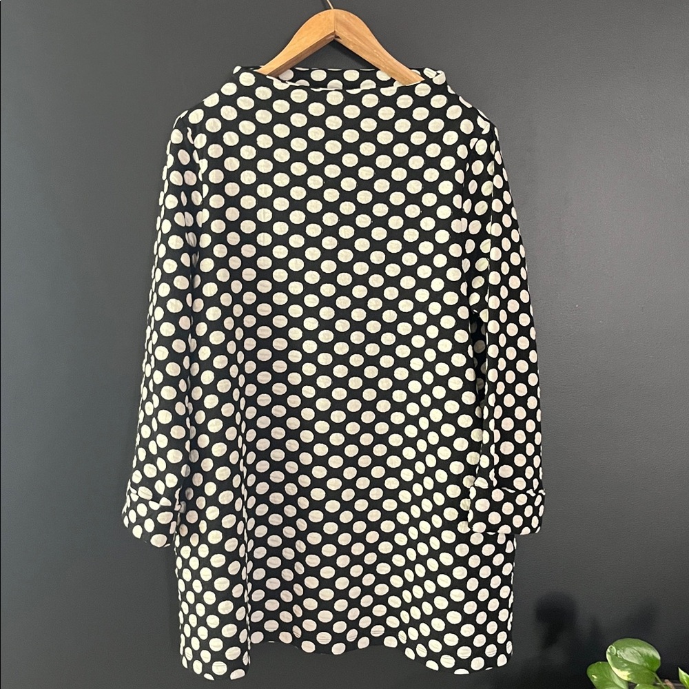 Shannon Passaro swing tunic. L